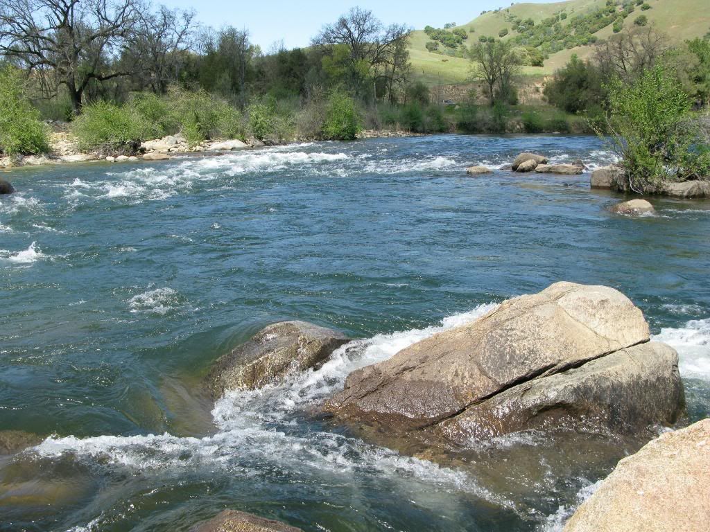 IMAGE: http://i191.photobucket.com/albums/z179/nate555_photos/IMG_4552.jpg