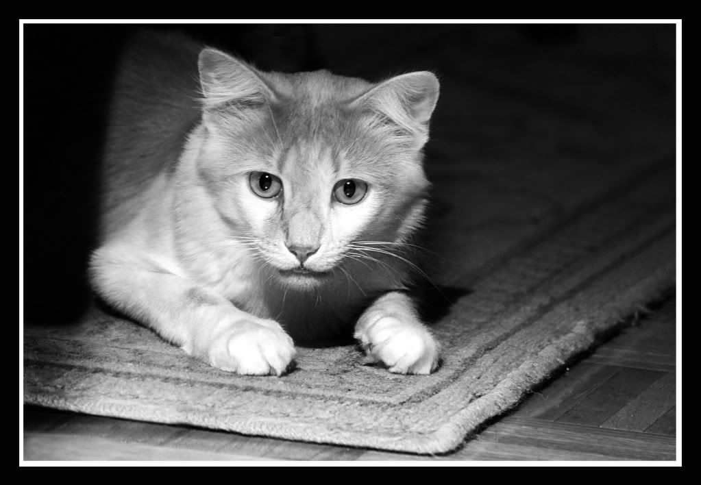 IMAGE: http://i191.photobucket.com/albums/z179/nate555_photos/tedfinish.jpg