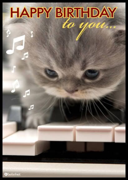 [img width=411 height=577]http://i191.photobucket.com/albums/z183/yoc_01/817900vkfvgfyogh.jpg[/img]