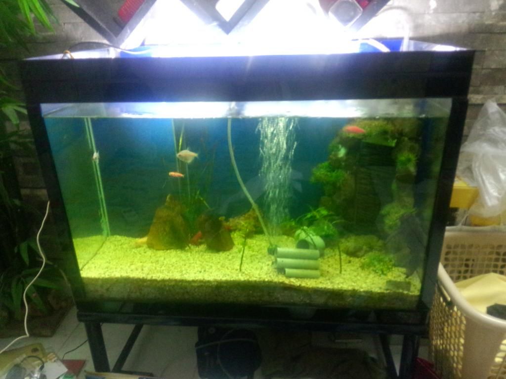 Xuất Ngoại : Bán hết đồ đang xài, linh tinh đủ loại !!!!!!!!!!!!!!!!!!!!!!!!!!!!!!!!