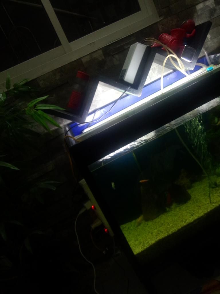 Xuất Ngoại : Bán hết đồ đang xài, linh tinh đủ loại !!!!!!!!!!!!!!!!!!!!!!!!!!!!!!!! - 1