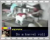 barrelroll.mp4 video by