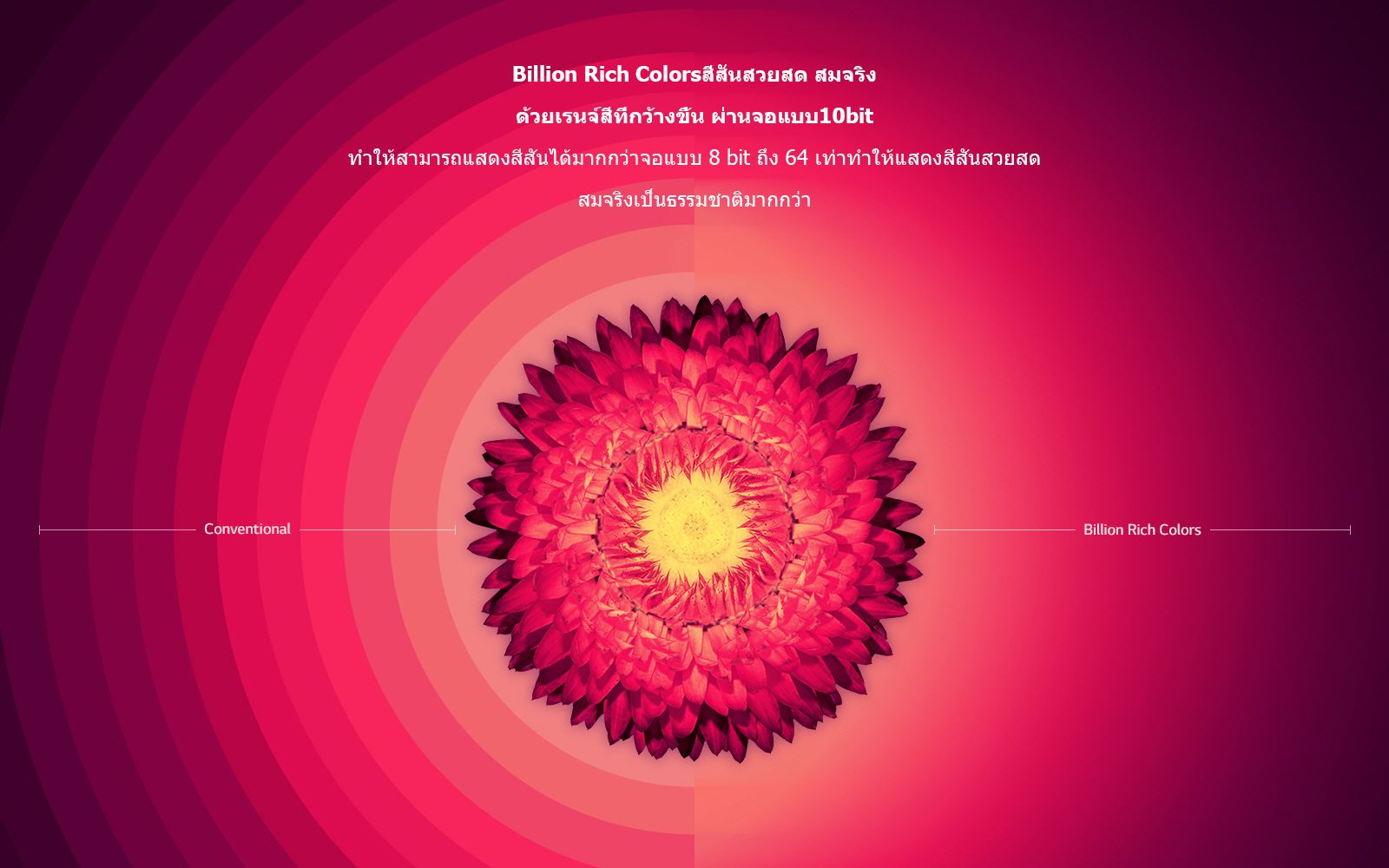 photo 06_SuperUHD_Feature_Billion-Rich-Colors0428zz.jpg