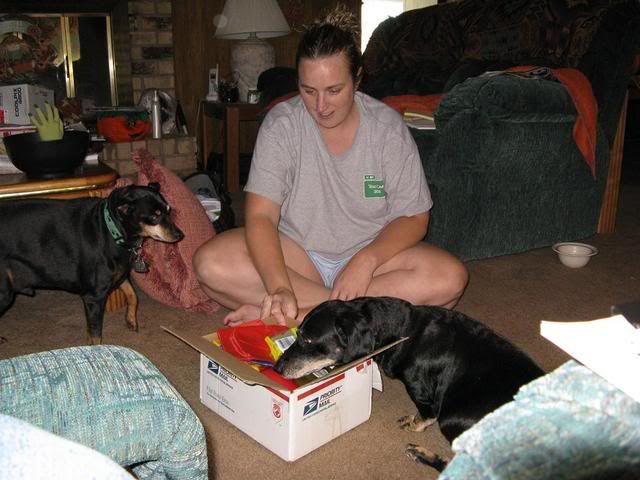 Blackjack checking out the box