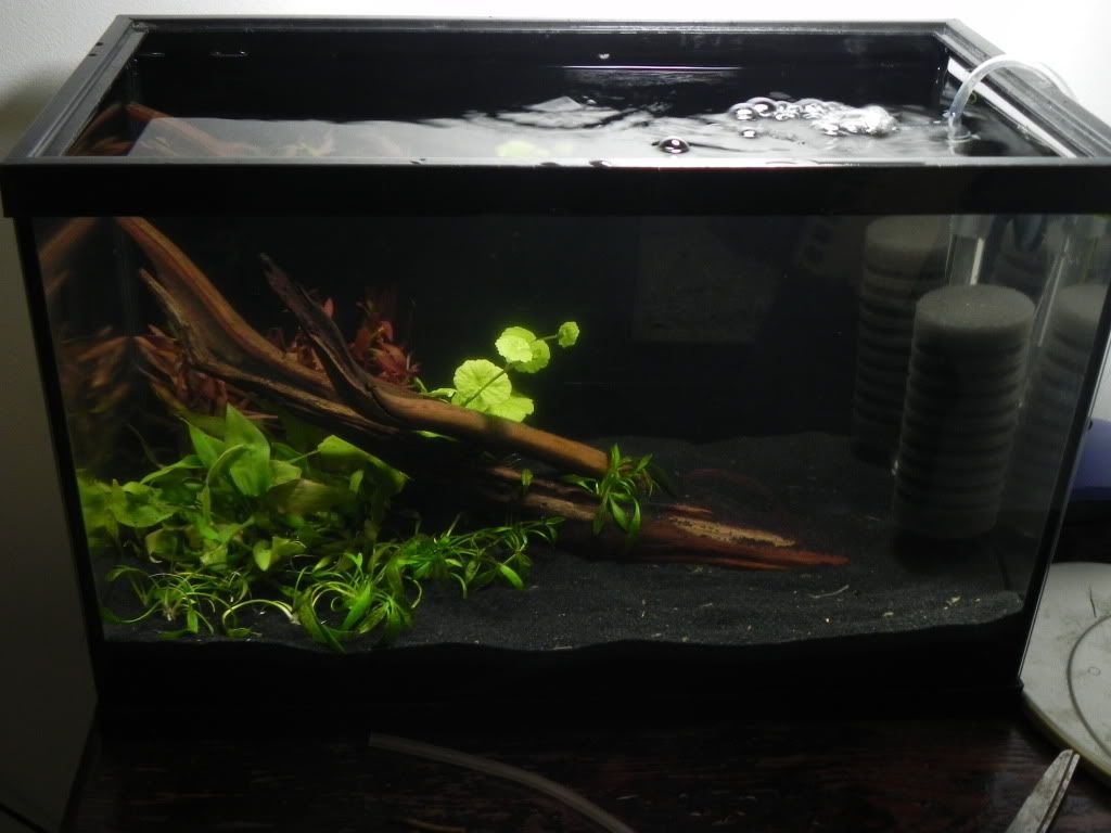 DSCN5227.jpg