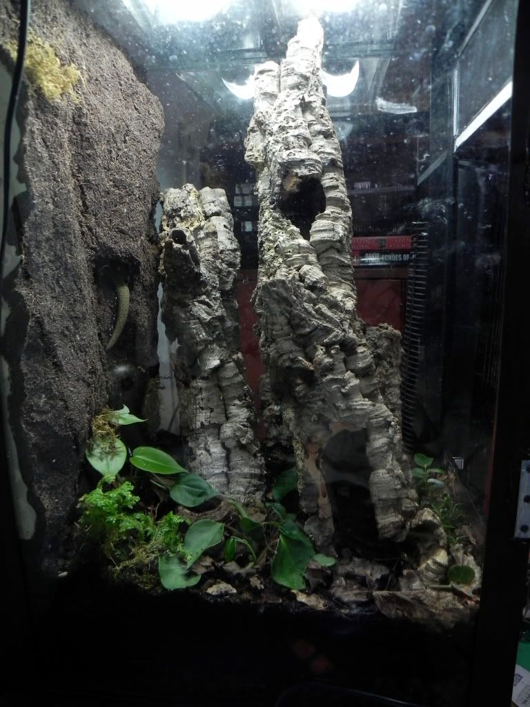 DSCN4715.jpg