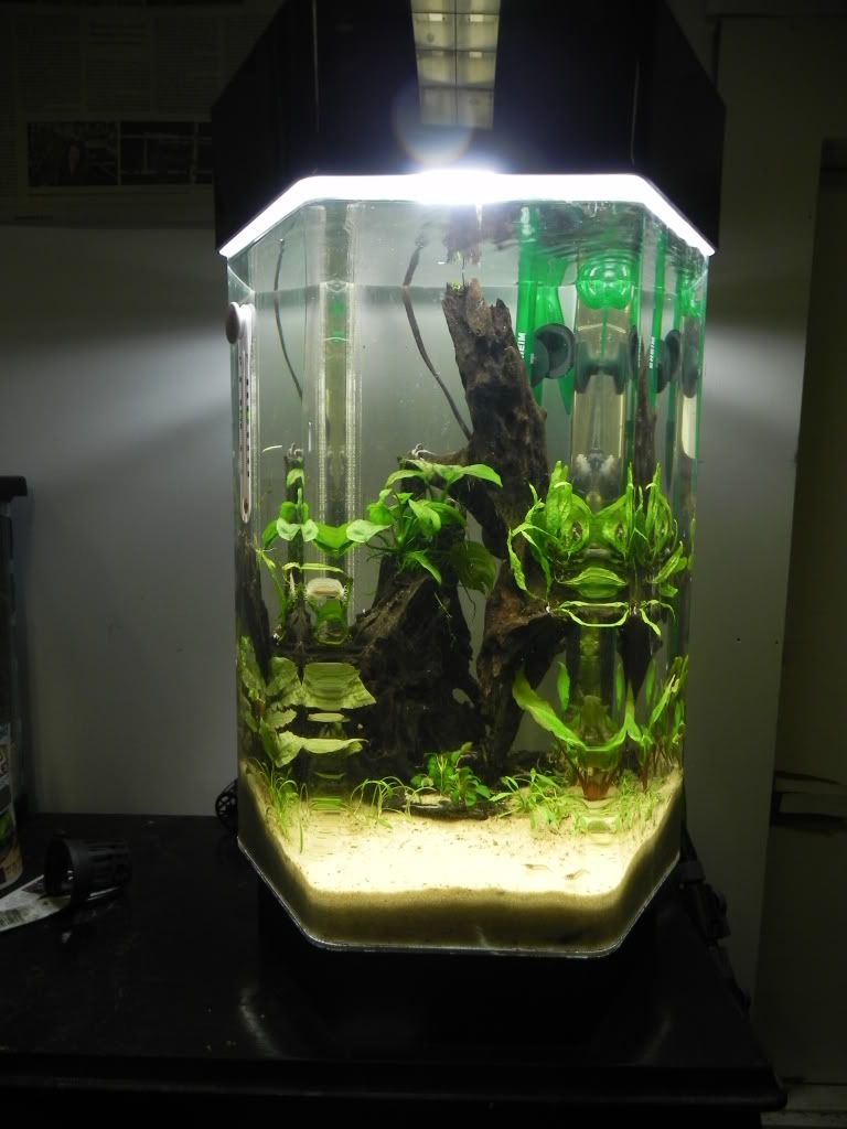 DSCN5548.jpg