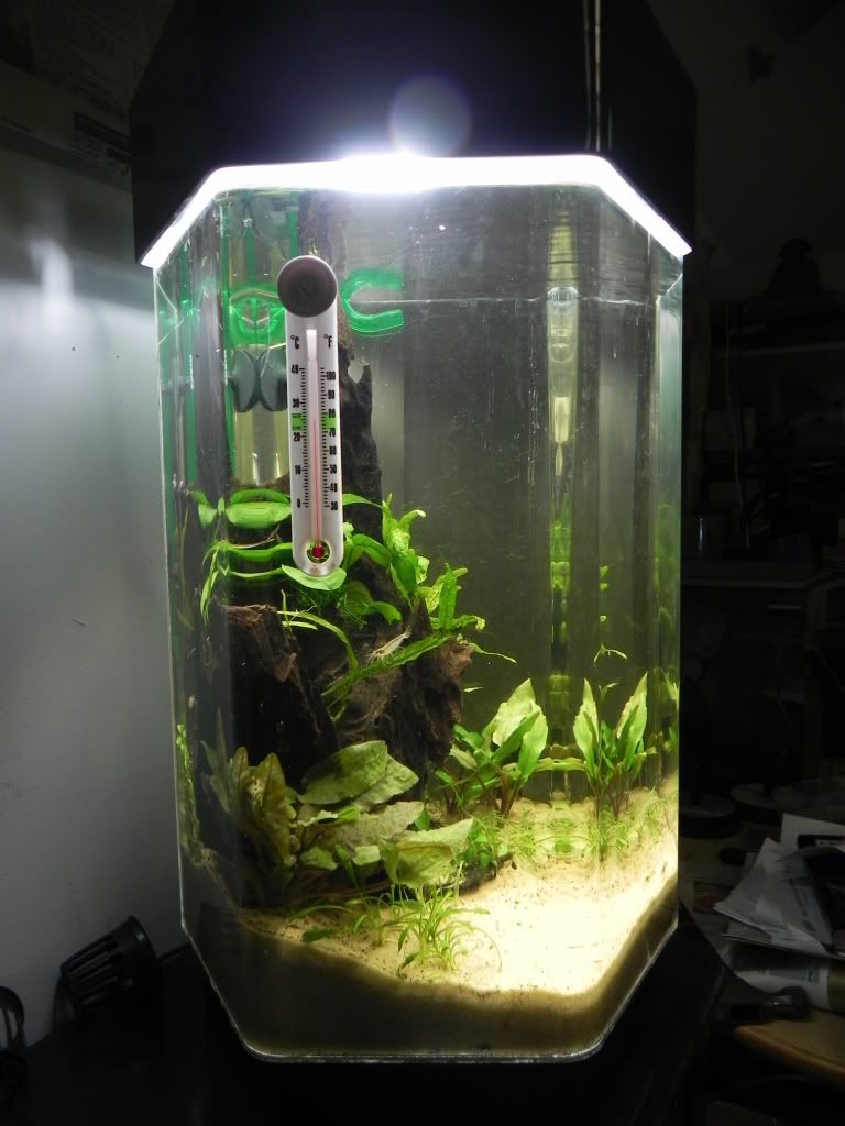 DSCN5549.jpg