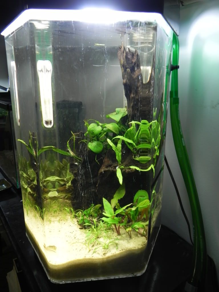 DSCN5550.jpg