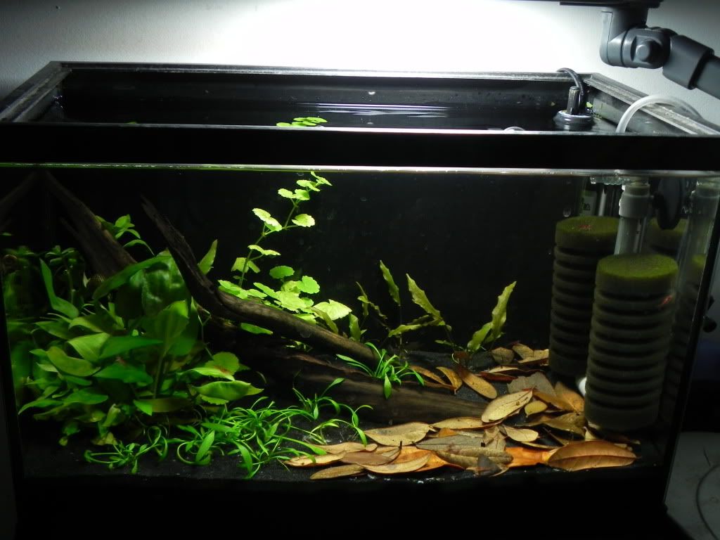 DSCN5558.jpg