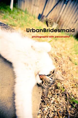 urbanbridesmaid