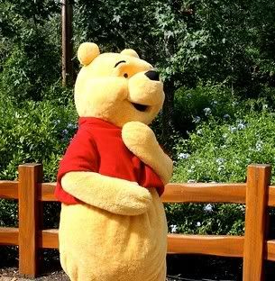 winnie the pooh