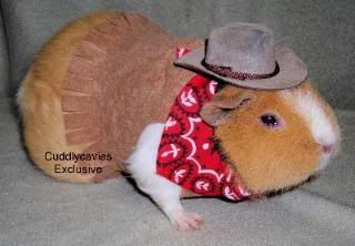 cowboybrownhat.jpg