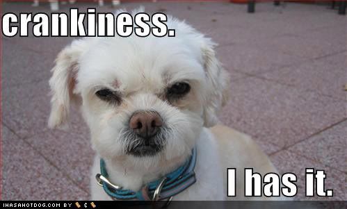 loldogs-cute-puppy-pictures-crankin.jpg