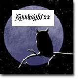 nightowl-1.jpg