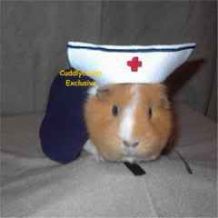 nursewebsite.jpg