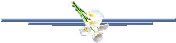 barra2520con2520flor2520blanca.gif picture by PEREJIL_2007