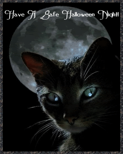 black_cat-lightning-halloween-comme.gif