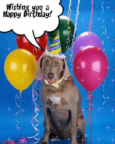 [Obrazek: happy-birthday-dog-balloons-glitter.gif]