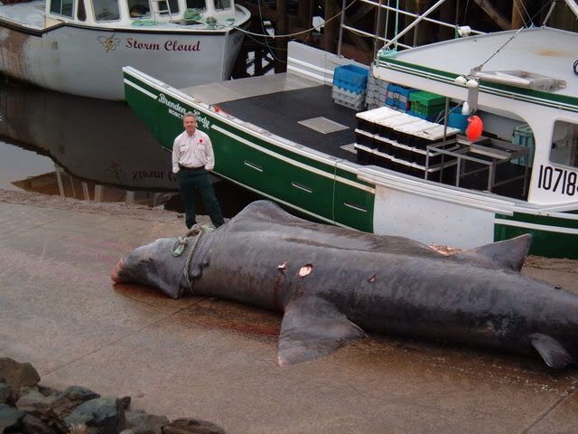2008_1107Image0007.jpg