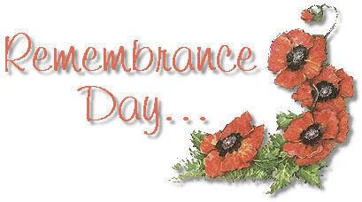 Rememberance Day with poppies Pictures, Images and Photos