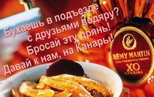 208983000_5537fa91dd_o.jpg