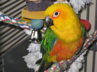 IMG_0431.jpg