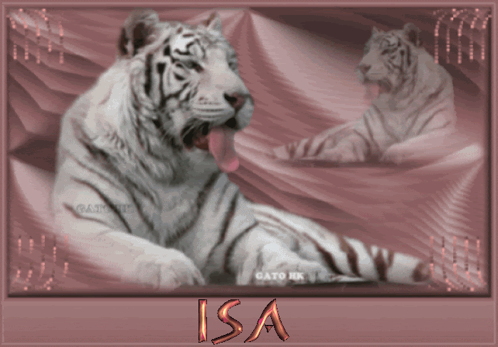 ISA-5.gif ISA picture by AMISTADenLIBERTAD