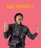 Gai sensei