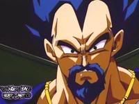 King Vegeta