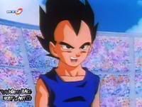 Vegeta JR