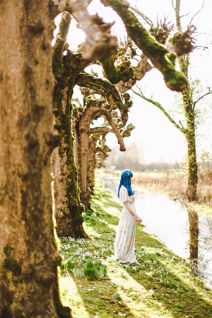 snowdrop walk, snowdrops, the argory,northern ireland