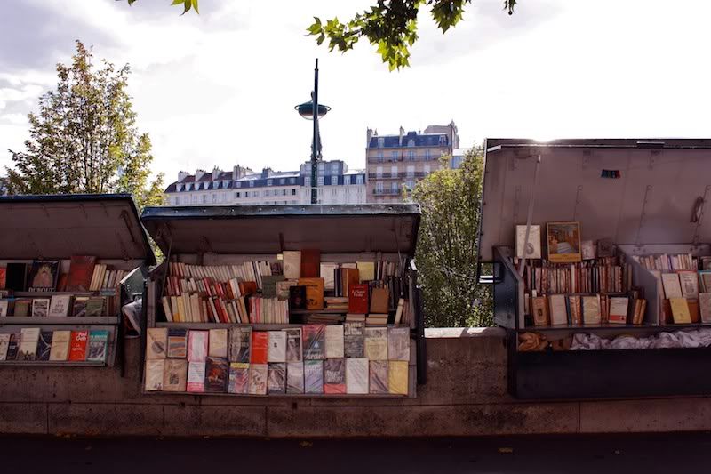 the clothes horse, paris, seine, notre dame, stain glass windows, fashion, personal style, aviators, nueu, black tights, bloch wedges, patent shoes, built by wendy, ruffle dress, redhead, shakespeare & company, pont des arts bridge, padlock bridge