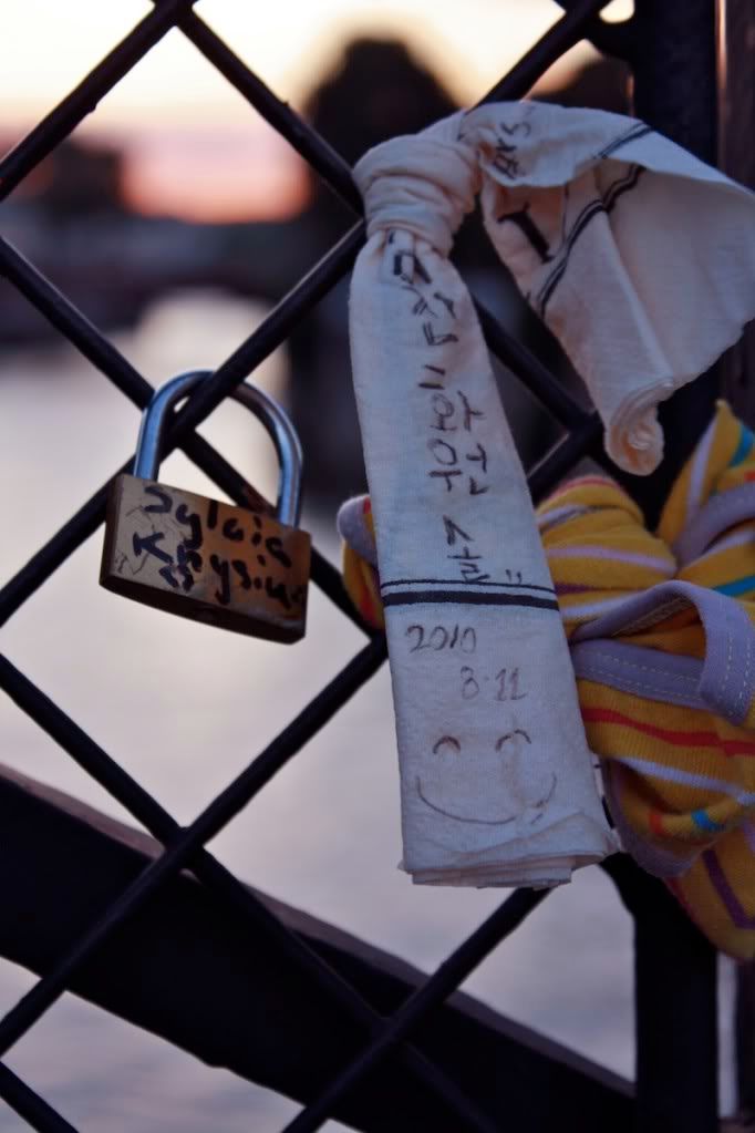 the clothes horse, paris, seine, notre dame, stain glass windows, fashion, personal style, aviators, nueu, black tights, bloch wedges, patent shoes, built by wendy, ruffle dress, redhead, shakespeare & company, pont des arts bridge, padlock bridge