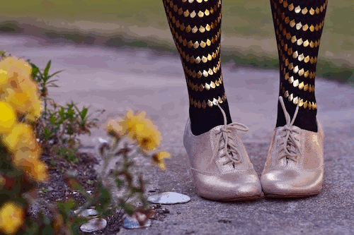 the clothes horse, seychelles, gold booties, oxfords, gal stern, gold foil tights