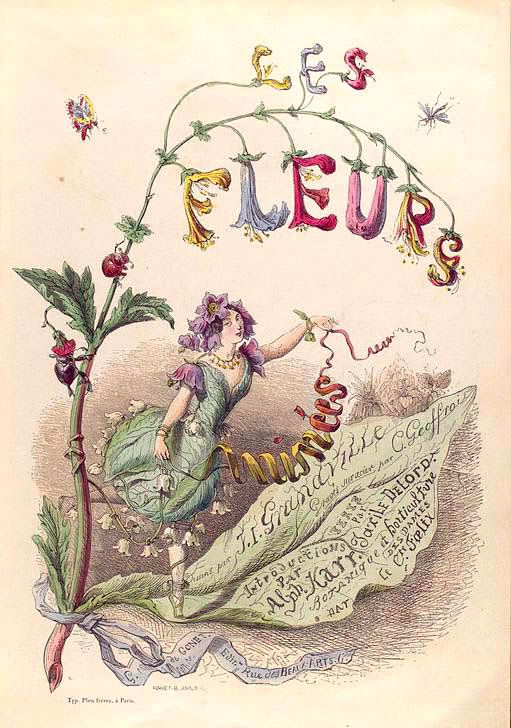 Jean Grandville, les fleurs, vintage, antique, flower illustrations, the clothes horse