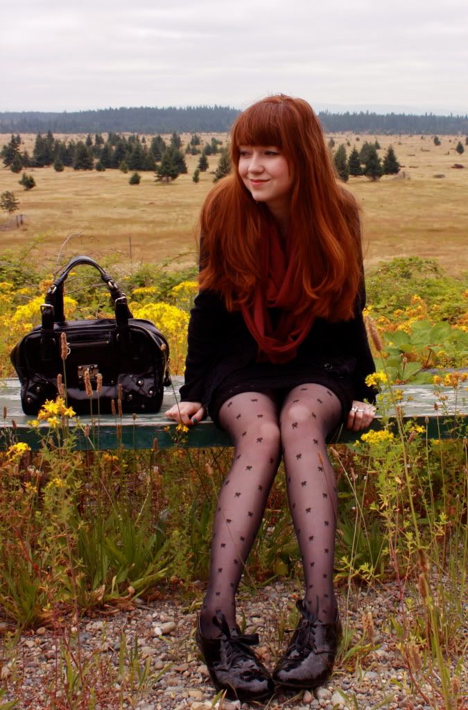 the clothes horse, personal style, fashion, black dress, sheer tights, bow tights, tabio, bloch wedges, patent shoes, redhead, washington, fall, feather earrings