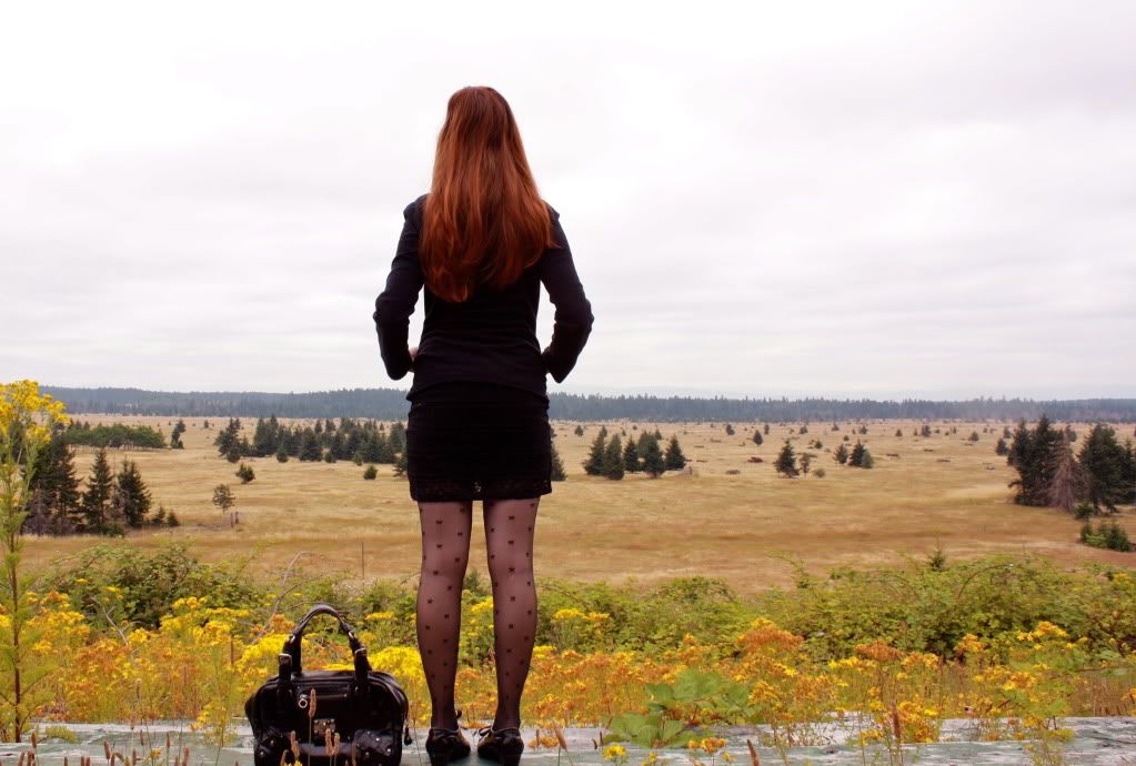 the clothes horse, personal style, fashion, black dress, sheer tights, bow tights, tabio, bloch wedges, patent shoes, redhead, washington, fall, feather earrings