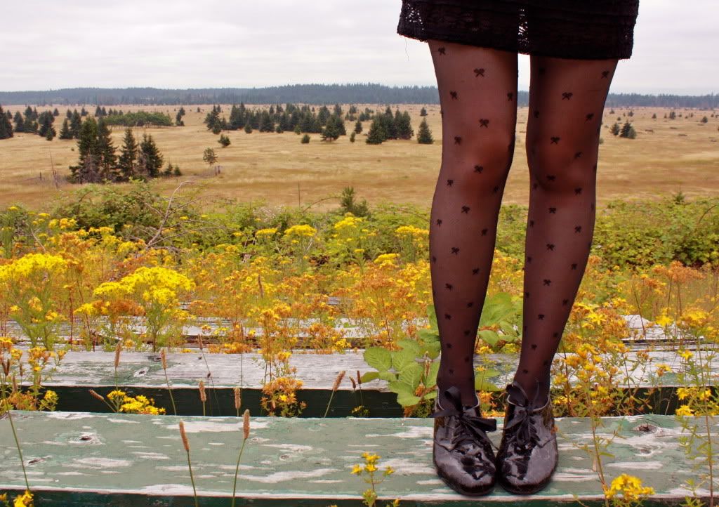 the clothes horse, personal style, fashion, black dress, sheer tights, bow tights, tabio, bloch wedges, patent shoes, redhead, washington, fall, feather earrings