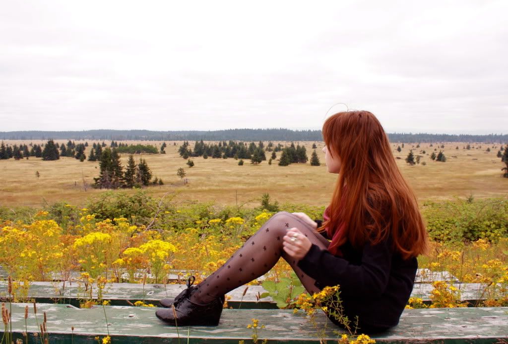 the clothes horse, personal style, fashion, black dress, sheer tights, bow tights, tabio, bloch wedges, patent shoes, redhead, washington, fall, feather earrings