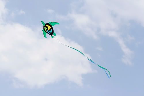 kite5