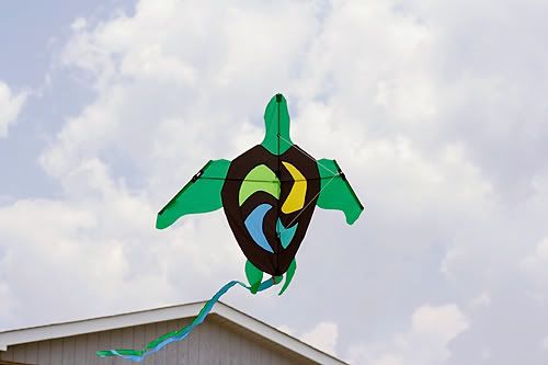 kite4