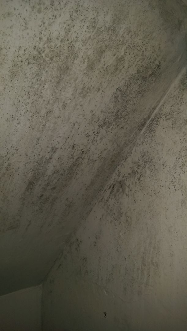 Damp_zps5o1ox76b.jpg