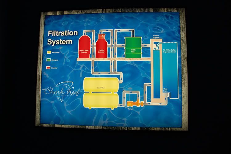filtrationpic.jpg