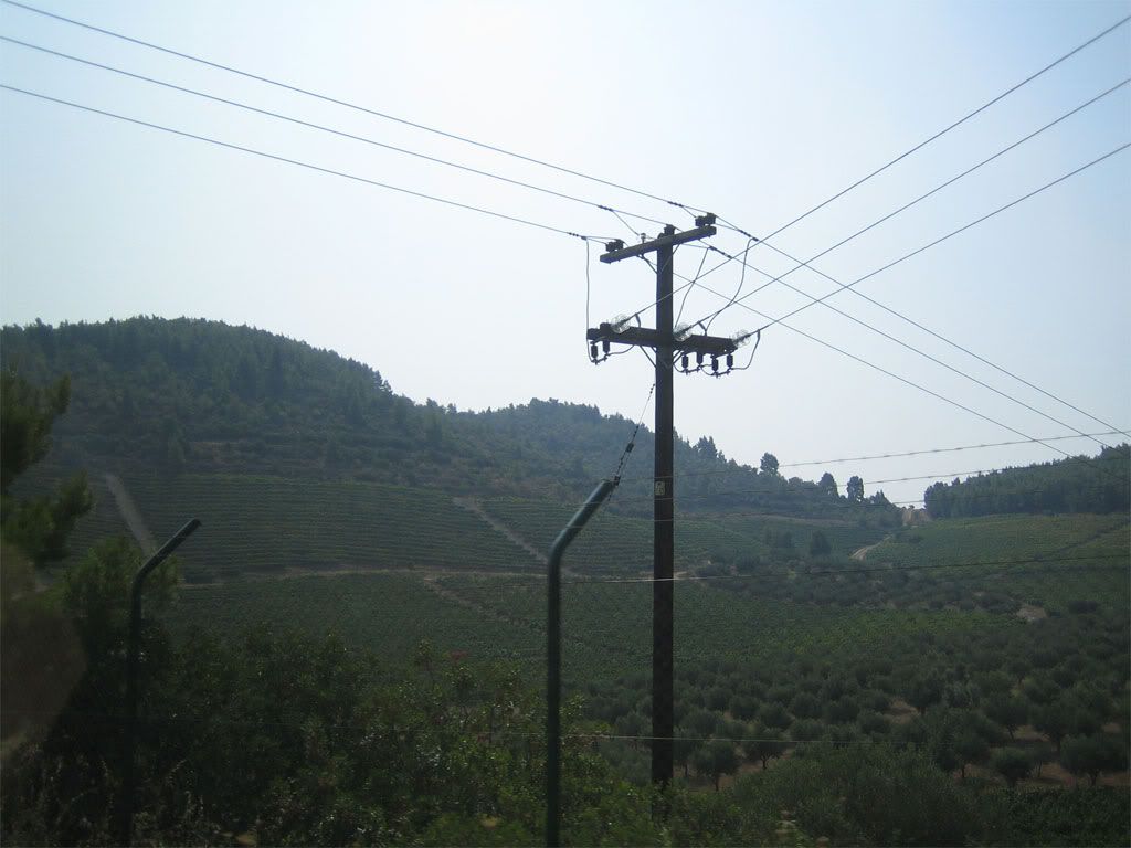 img00290kf.jpg