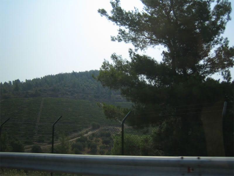 img00304au.jpg
