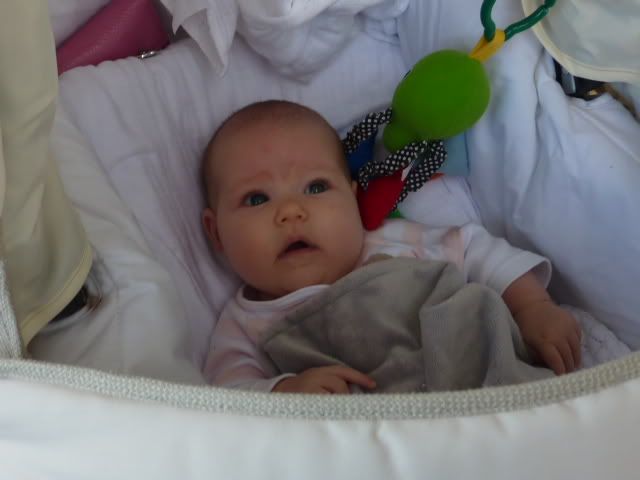 P1000326.jpg