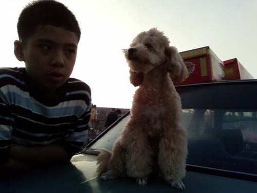 Photobucket