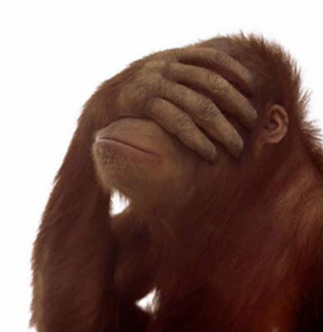 Facepalm Orangutan