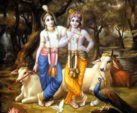 krsna-balaram-vrndavan.jpg?t=1184863902